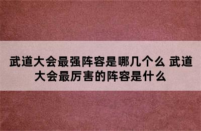 武道大会最强阵容是哪几个么 武道大会最厉害的阵容是什么